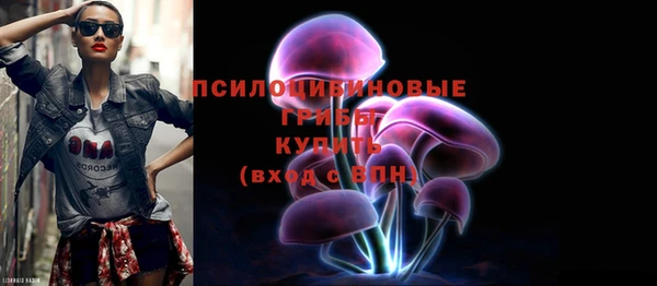 ешки Новозыбков