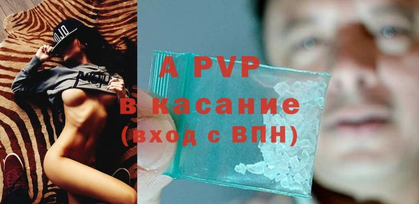 стафф Нефтекумск