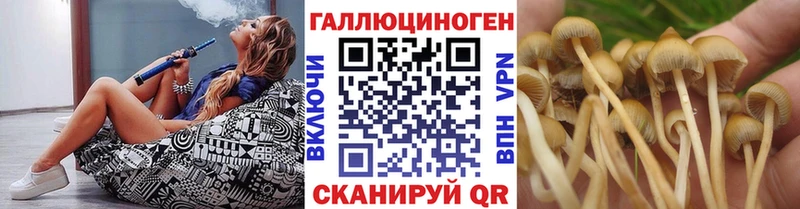 Галлюциногенные грибы прущие грибы  купить  сайты  Макушино 